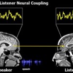 Speaker-Listener Coupling